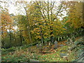 Holy Trinity Graveyard - Church Lane, South Crosland