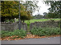 Frenchay, squeeze stile