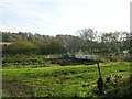 Allotments - Meltham Road