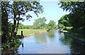 Coventry Canal east of Hartshill, Warwickshire