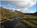 River Braan downstream