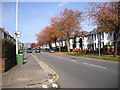 Caerphilly Rd, Cardiff, on a sunny autumn day