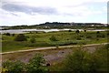 Conwy Nature Reserve