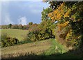 Field at head of Cockington valley