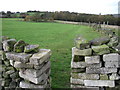 Footpath towards Seven Springs