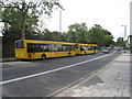 TQ2382 : School buses on the Harrow Road by Mr Ignavy