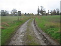 Track in Waldershare Farm