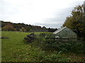 Abandoned greenhouse