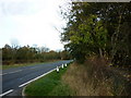 SE5618 : Looking North along the A19, Selby Road by Ian S