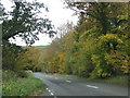 Autumn colour by the A377