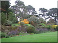 The herbaceous border by the side lawn at Tapeley Park