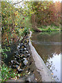 The Weir, Sweyne Park