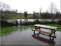 H4969 : Flooding, Edenderry by Kenneth  Allen