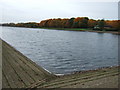 Corner of the rowing lake, Thorpe Meadows, Peterborough