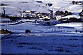 Lumb in the snow