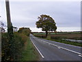 TM3879 : A144 Stone Street near Spexhall Bridge by Geographer