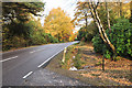 A82 at Invergloy Halt