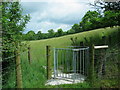 Gat Mochyn  / Kissing Gate, Llanpumsaint