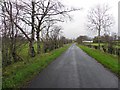 D1516 : Tuftamey Road by Kenneth  Allen