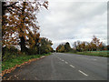 Bus stop in a lay-by beside the A146