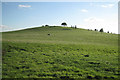 Hill southeast of Bushwood Orchard Farm