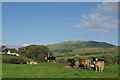 Laigh Cairn & a view towards Corsencon Hill