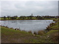 Farm Lodge Reservoir