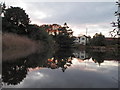 Pond at Boar