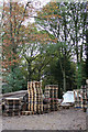 Trees, living and felled, with pallets