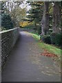 The north east corner of the city walls in Priory Park