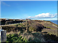 NZ7917 : Cliff top view Port Mulgrave by Paul Buckingham