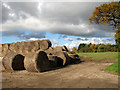 Old straw bales on hardstanding beside Poppy