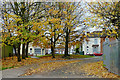 Autumn trees in Blakenhall, Wolverhampton