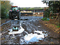 Cattle sheds at Cranes Farm, North Green