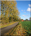 Clintergate Road past the hamlet of Clintergate