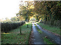 Unnamed lane to Redenhall