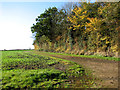 Private farm track south of Oaklands Farm