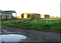 Public footpath leading past sheds at North Farm