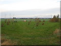 Communal Garden near Newchurch