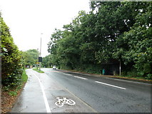 TQ1630 : Approaching a bus shelter in Guildford Road by Basher Eyre