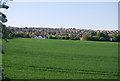 Wheat west of Hoo