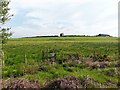 Public footpath to Rogersceugh