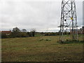 Fields near Newton