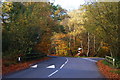 Cross Roads, High Beach, Essex