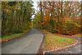 Towards Kingston Blount