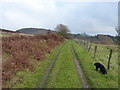 SO4893 : The bridleway towards North Hill Farm by Richard Law