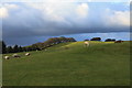 Grazing land near Nethertown of Croys