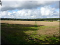 Field path south of Clavertye Wood