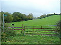 Footpath in the Clearwell Valley