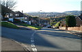 Looking down Castle Park Road, Newport